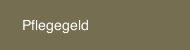 Pflegegeld
