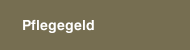 Pflegegeld
